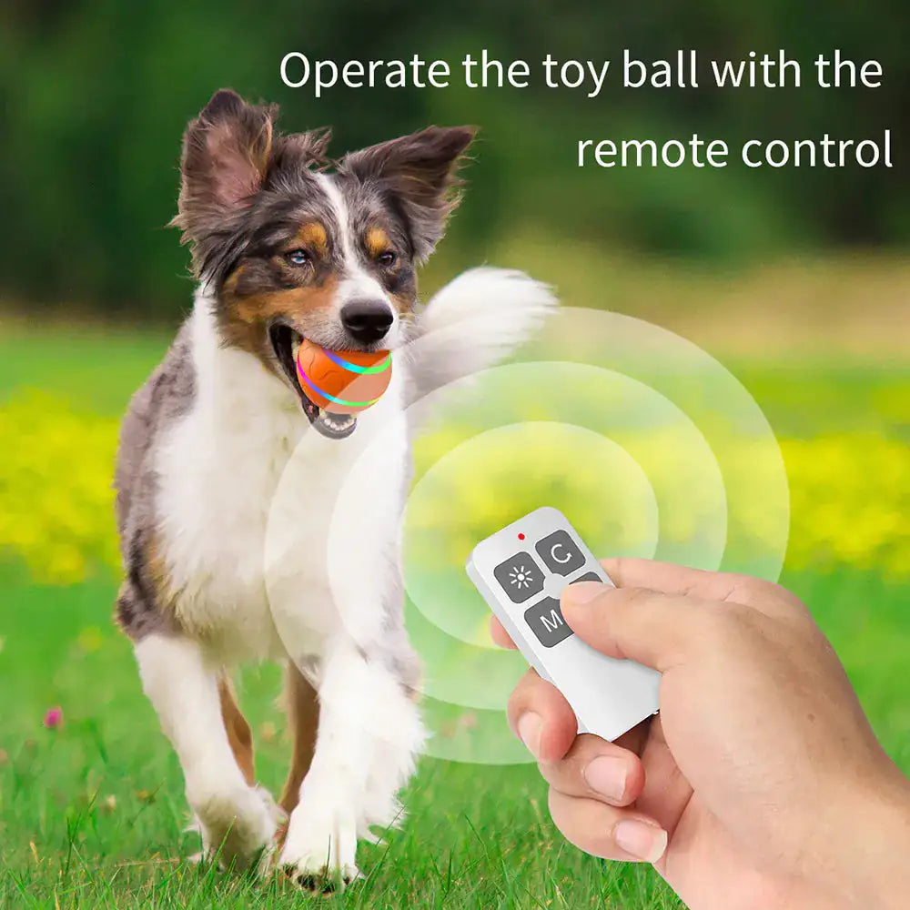 Interactive Pet Smart Ball Toy - Monolog