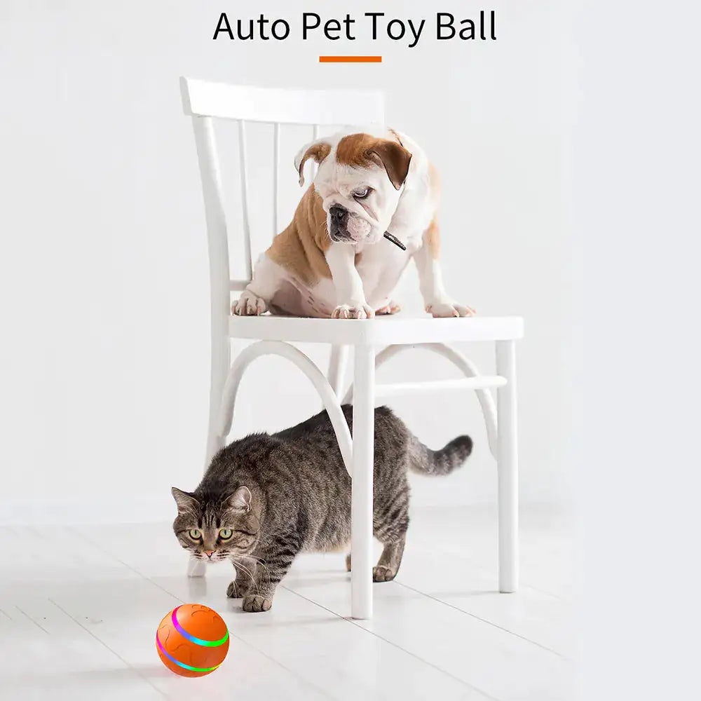 Interactive Pet Smart Ball Toy - Monolog