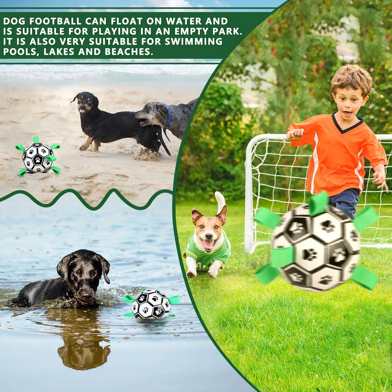 Interactive Soccer Ball Dog Toy - Monolog