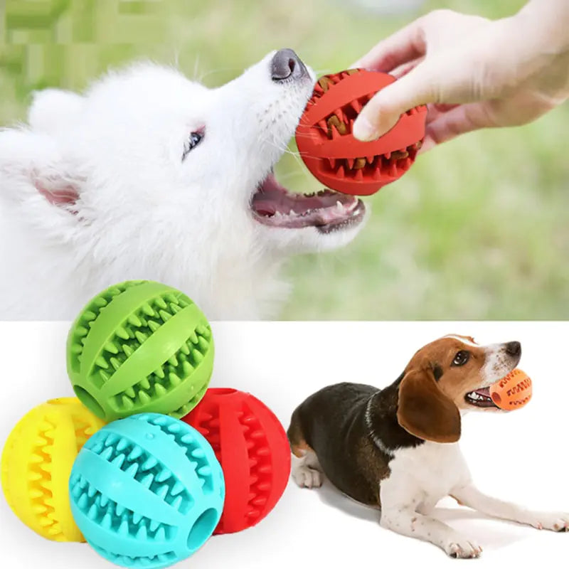 Interactive Rubber Pet Dog Toy - Monolog