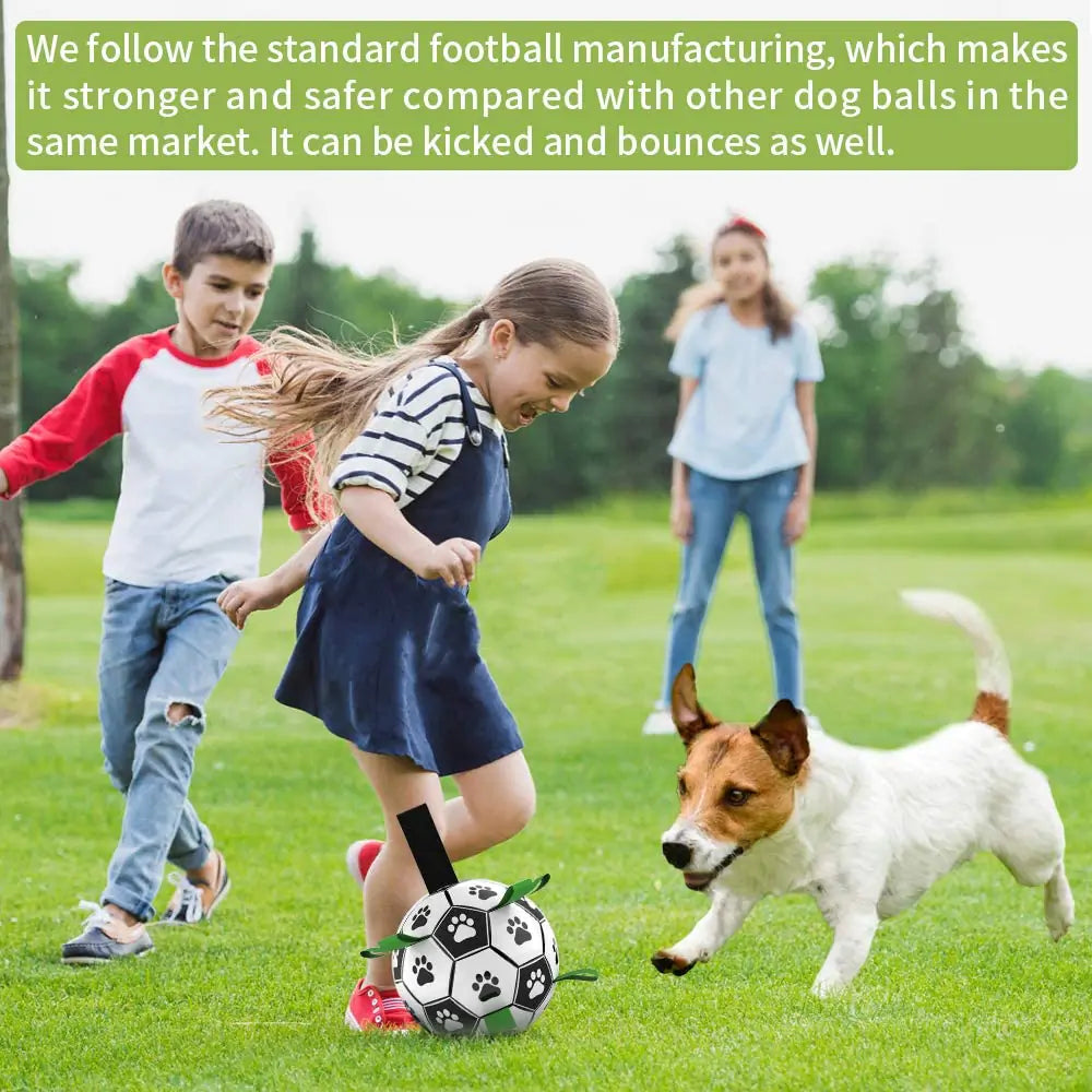 Interactive Soccer Ball Dog Toy - Monolog