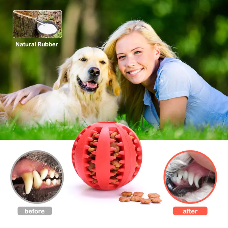 Interactive Rubber Pet Dog Toy - Monolog