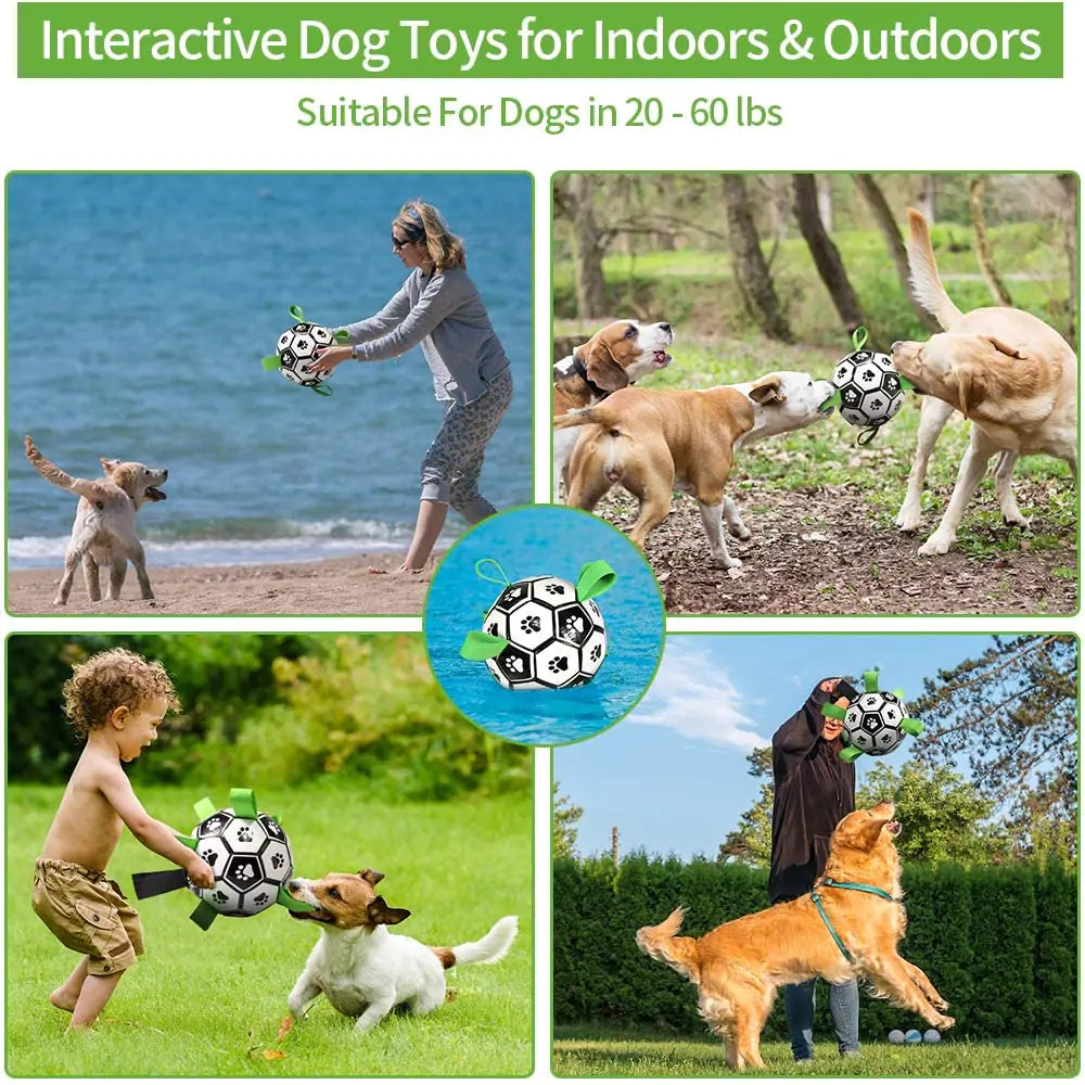 Interactive Soccer Ball Dog Toy - Monolog