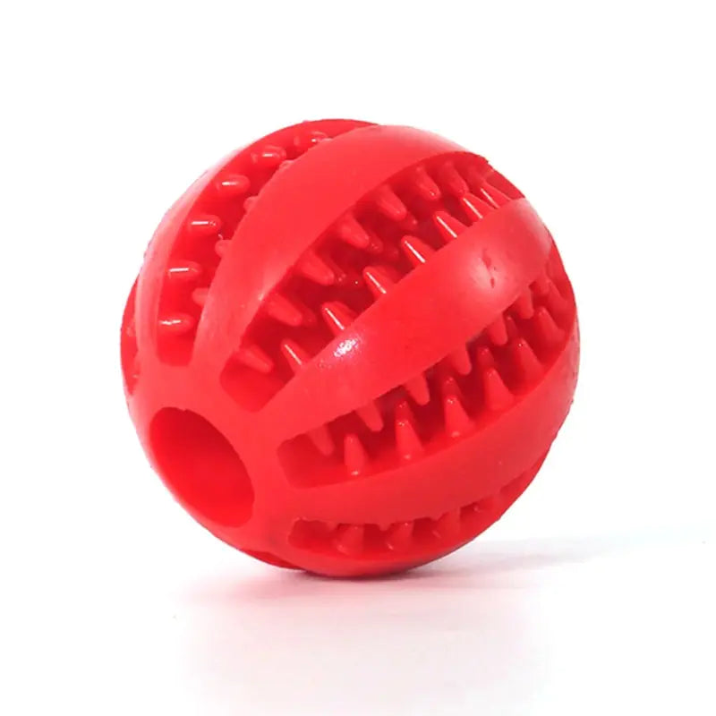 Interactive Rubber Pet Dog Toy - Monolog