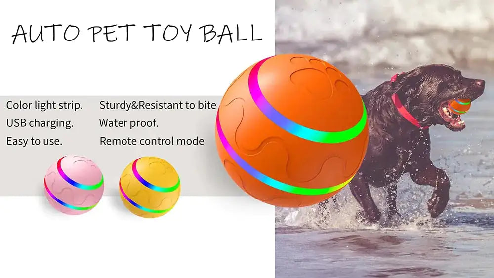 Interactive Pet Smart Ball Toy - Monolog